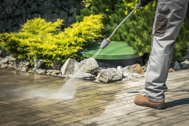 Animal Enclosure Cleaning in Bement, IL