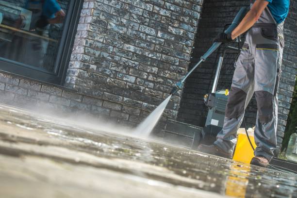Best Boat and Dock Cleaning  in Bement, IL