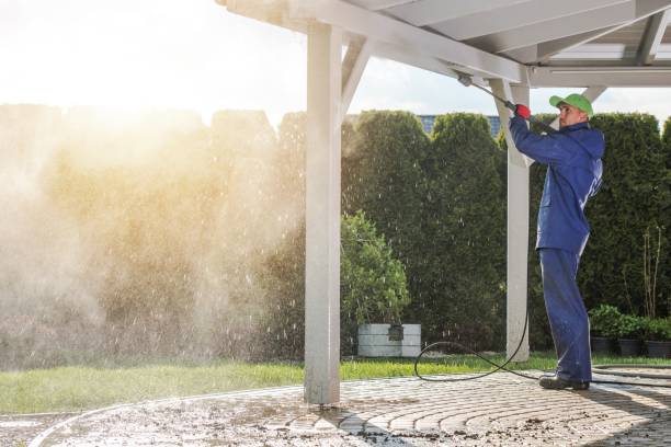 Best Graffiti Removal  in Bement, IL
